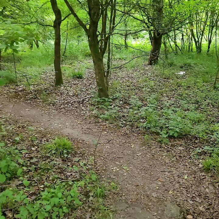 FanTasme👑of a Câtain. Walk in a Landfill in SperMe. CuMSLuT CuMDoWN VaneSsaBiTCHx PariSChienneTrvprod⁹¹
