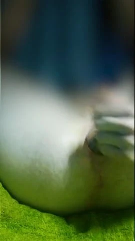 small twink zucchini gape 3