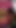 Iconic moment from "Horny Bhojpuri actress Bedroom video leaked with BF"