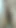 Hard cock ready for beautiful wet pussy ...hard fucking oh my big cock.want to kiss fuck ur beautiful pussy my love
