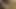 Webcam Dildo Masturbation
