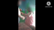 Pregled videozapisa