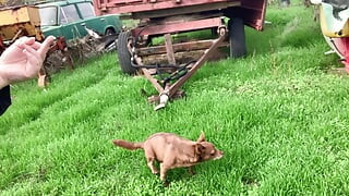 Walking naked in the nature