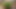 Male Masturbation #2
