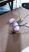 Pregled videozapisa