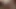 Dark haired girl rubs pussy on periscopre