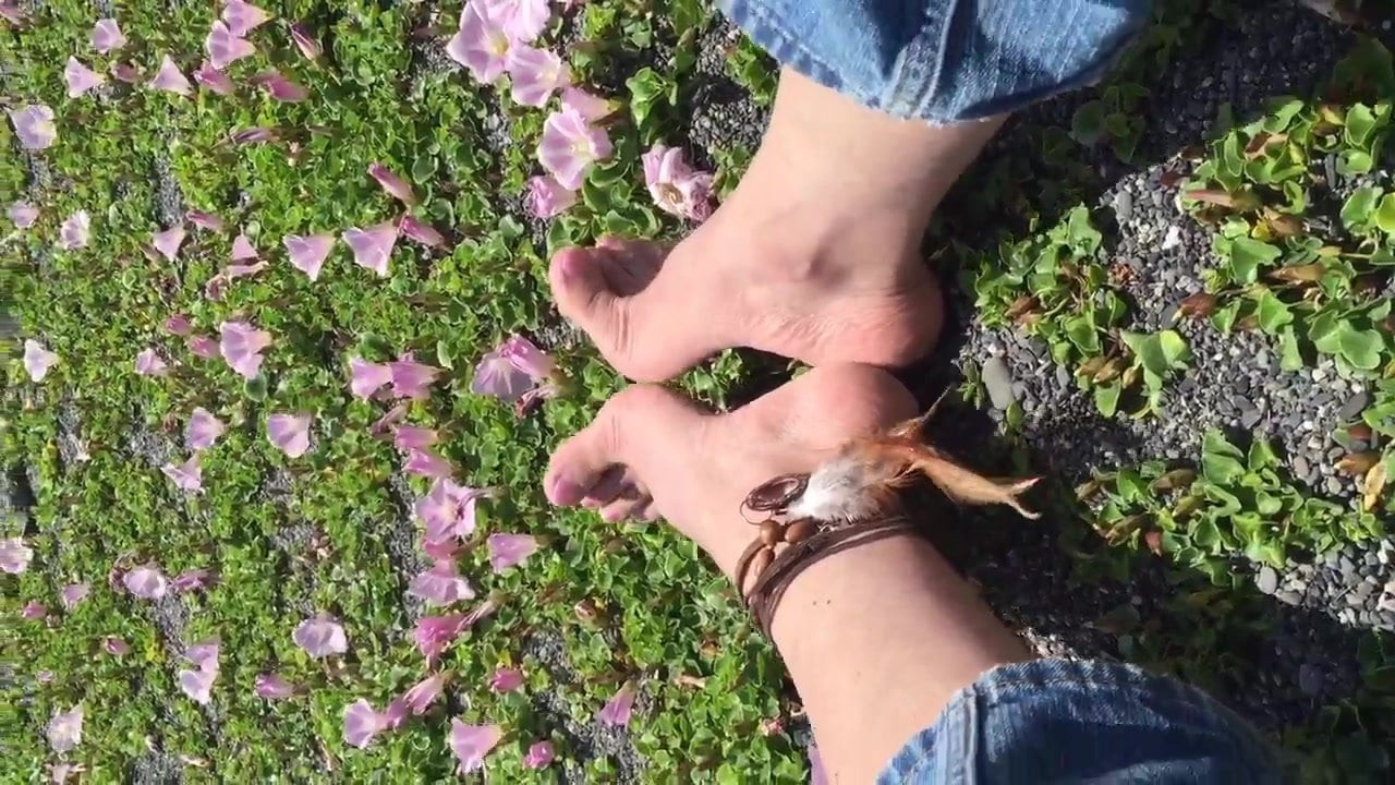 My feet