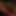Kayden Kross ve Flower Tucci lezbiyen muff munchers filminde başrolde