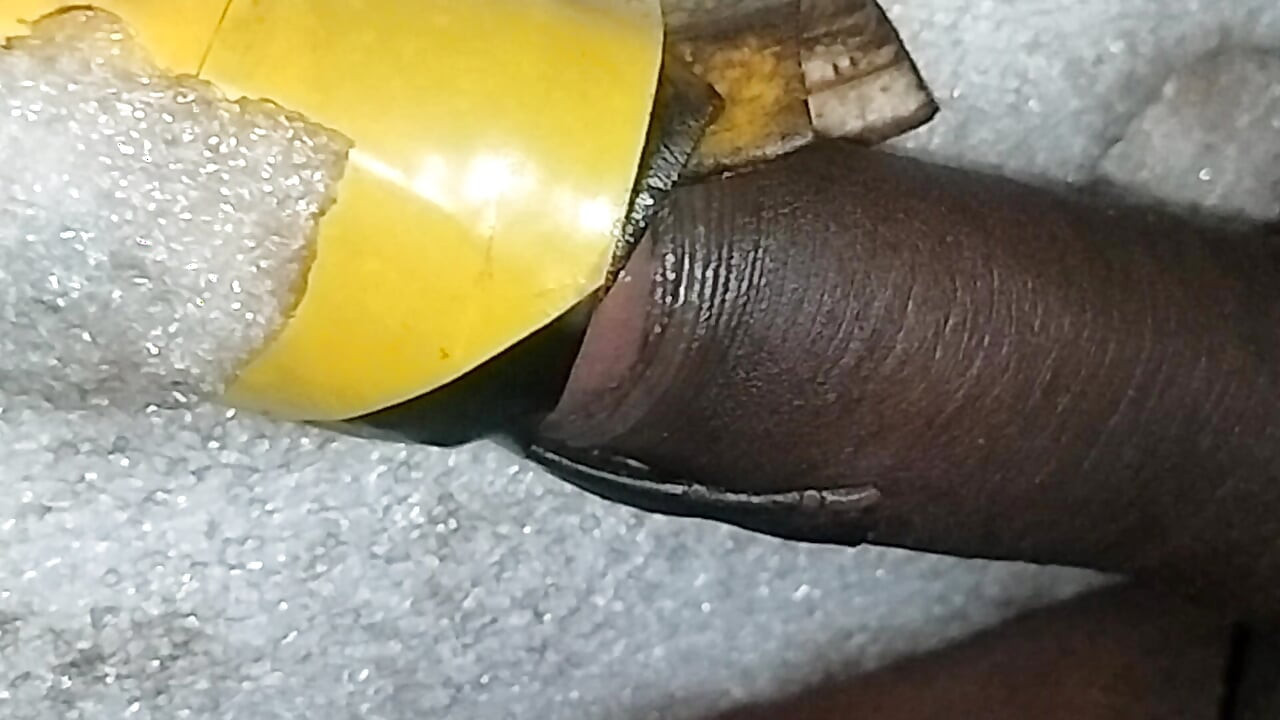 Beauty Cock