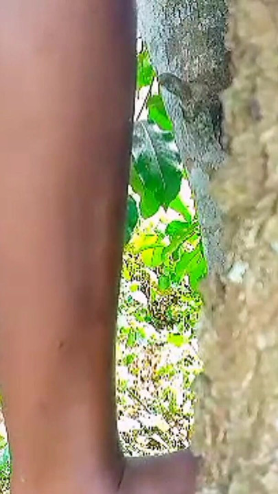 Teen Solo female masturbation with wet tight pussy in the bush, she missed hardcore fuck and enjoyed self sexual pleasure | Clip 1