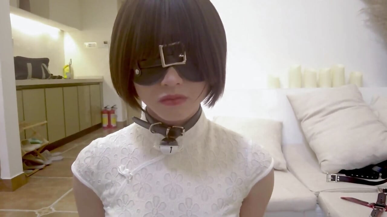 Mz18 - a Puppy Wearing Pajamas, Bound to Extreme Limits