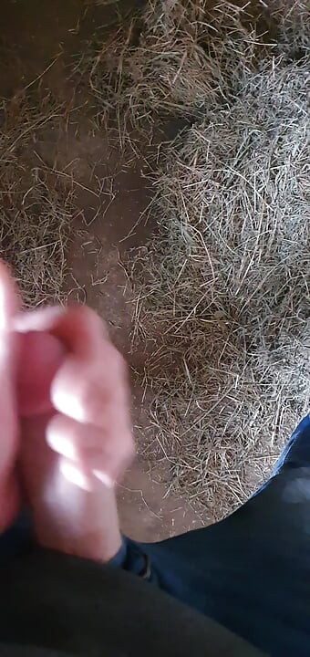 In the horse stable jerking off