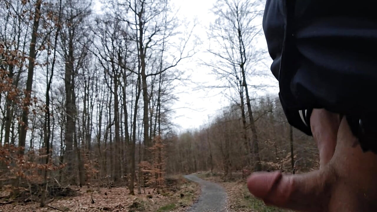 Horny in the forest
