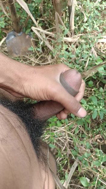 All Nude Boy Masturbating in Sugarcane field