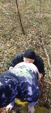 Pregled videozapisa