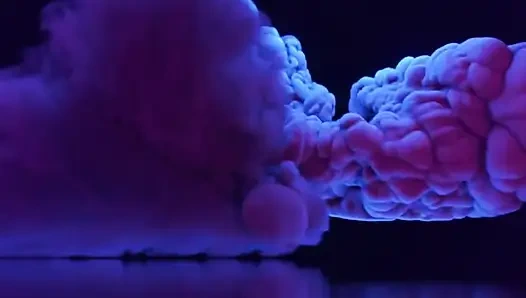 Marie Gives You a Tour of Her House.