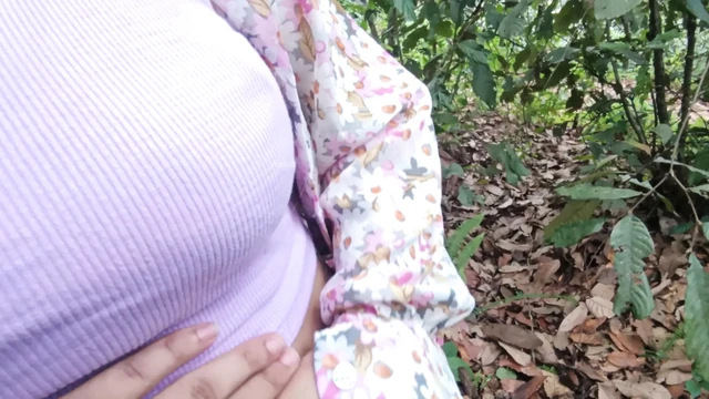 Jungle adventures