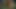 恋をする