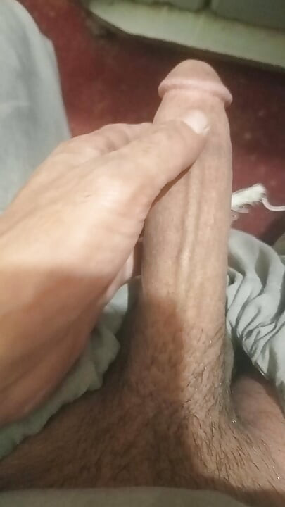 Stor kuk
