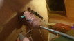 Pregled videozapisa