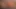 Sgvr