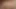 Orgazm ve porno izlerken külot ıslak kedi.