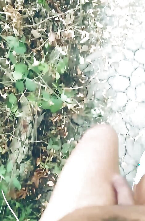 POV Naked Walk in the Woods