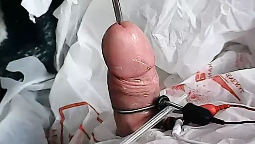Tahmini sondaj