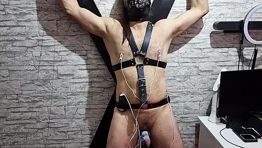 Elektro klingende harnröhrendehnung - schwanz pulsierendes in bondage agonie