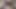 Harper Luna Run In With Neighbor JOI Cum Countdown Part I