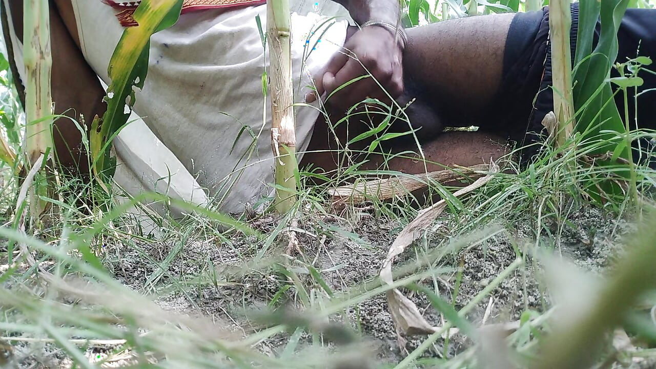 The village boy went to the cornfield and hit him hard