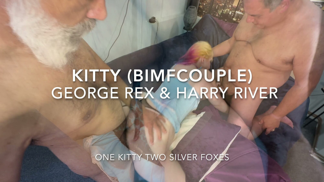 One Kitty, two silver foxes