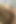 Dirty of My Neighbor Enjoys How I Eat Her Pussy and Cum on Her Belly - Andy Z 94ass