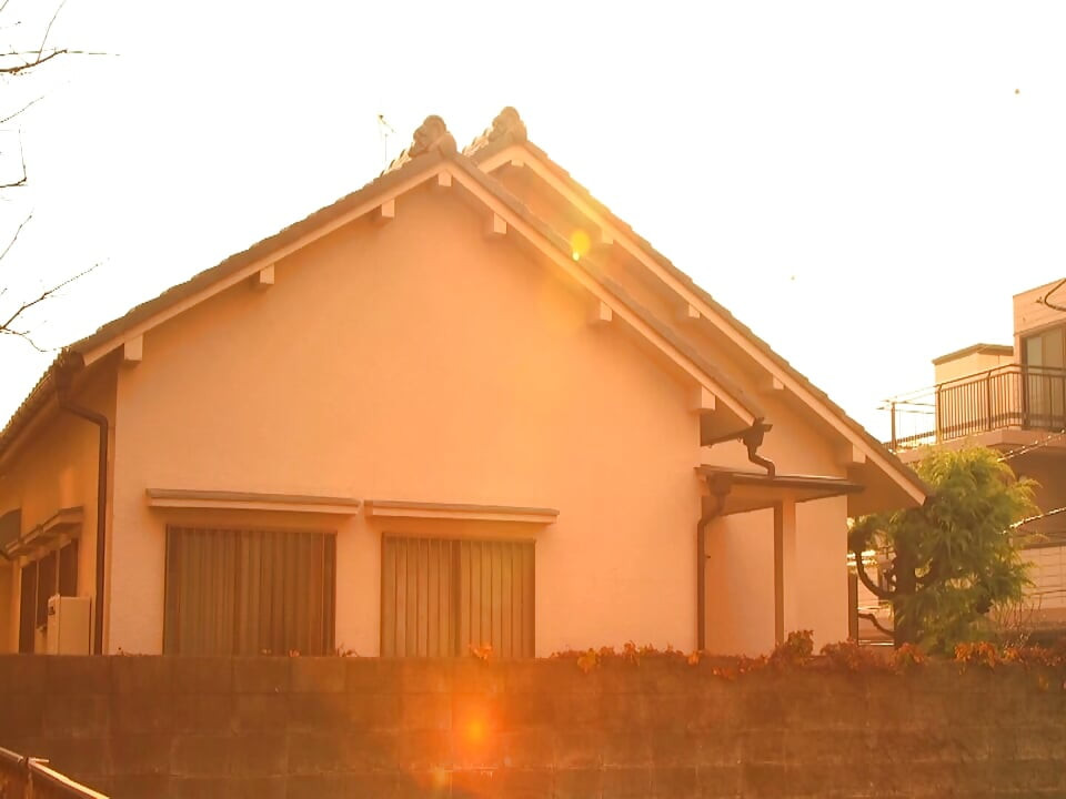 A063G03 The of a fool who witnessed her mother's affair in the living room in the early afternoon became erect...