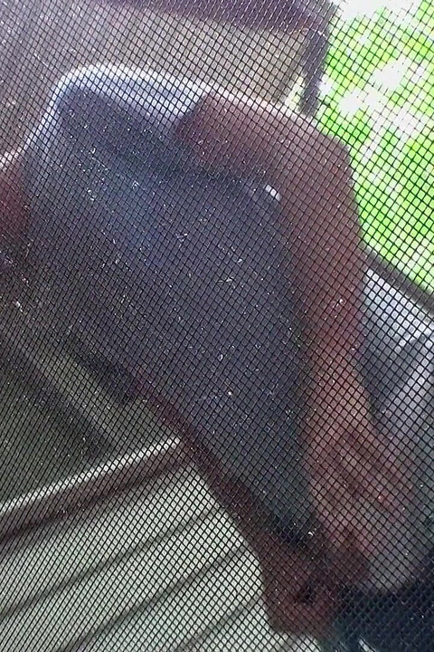 Pissing & jerking out some hot juice!