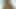 ポークベンダーズ - BBWのリンリンさんが赤いランジェリー姿でからかう中、ティム・ヴォン・スワインが彼女のジューシーなアソコを激しく突く