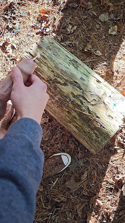 Nacktes schnelles sperma auf einem baumstamm, während sie auf einem bewaldeten weg in der Öffentlichkeit wandern