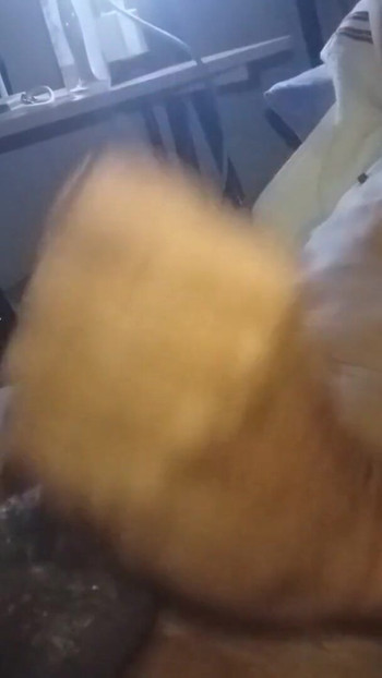 Odmah ću se opet vratiti. Moj solo nastup zbog zahtjeva javnosti, volim vas sve. | Isječak 1