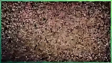 Cumshot Compilation Lucy Lee