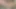 Vahşi güzellik masturbates ıslak kedi içinde külotlu çorap ve orgazm