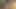 Yahudi kız bedava ayakkabı almak için ayak fetişini istismar ediyor