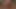 Asa Akira's POV Blowjob