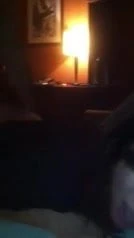 Husband Loves Friend Fucking Wife