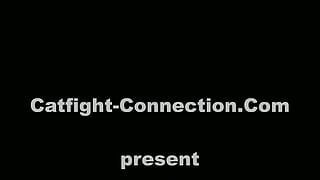 Catfight-Connection