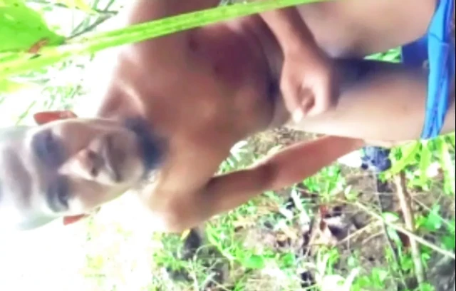 Solo jerk off at the forest