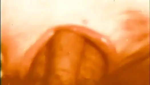 A giant big cock for a wild nasty bitch