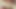 cum tribute for Lou