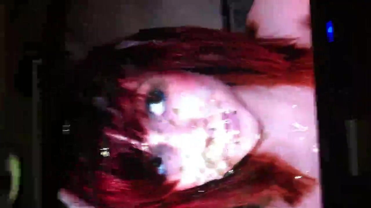Tribute 2  for RedEmoGirl