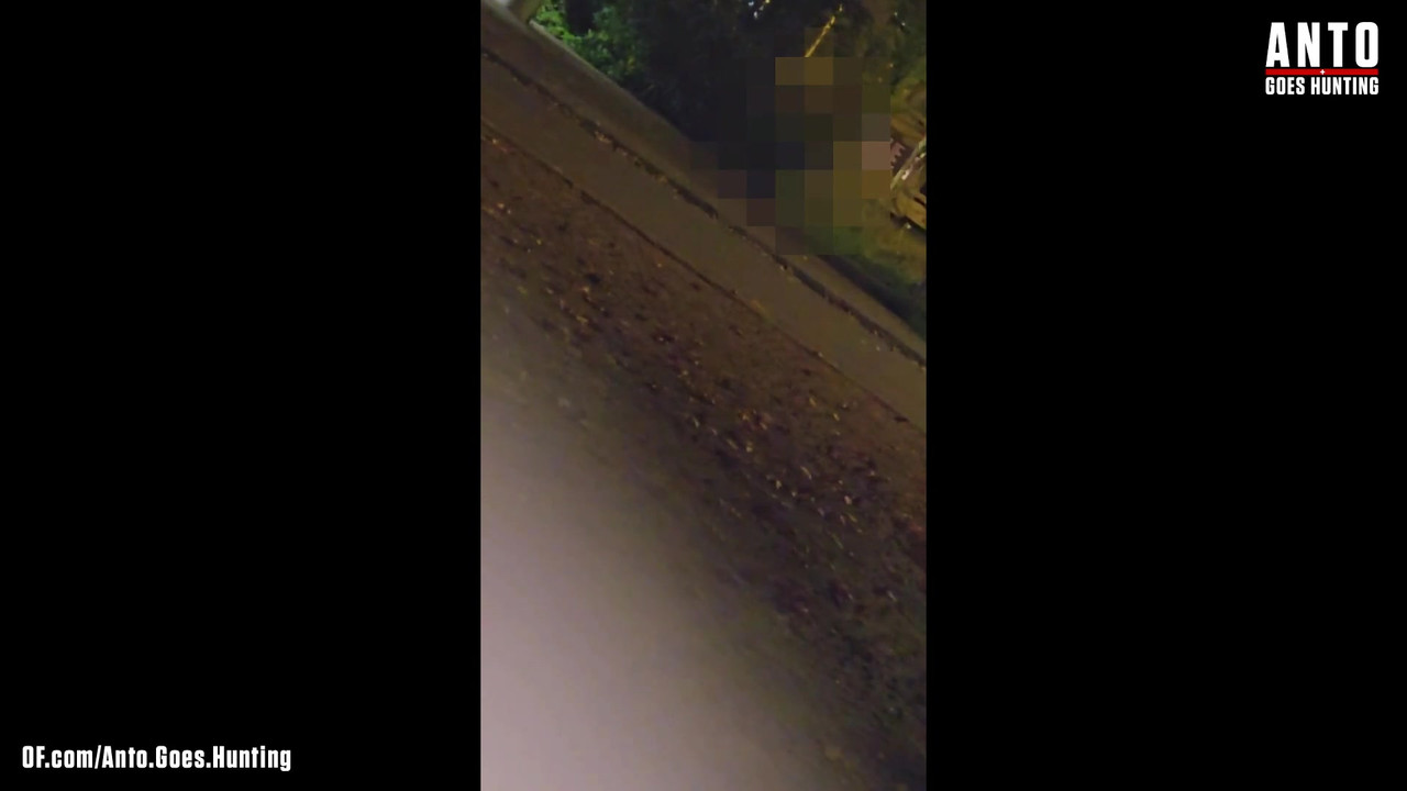 另一个保安走近并说服