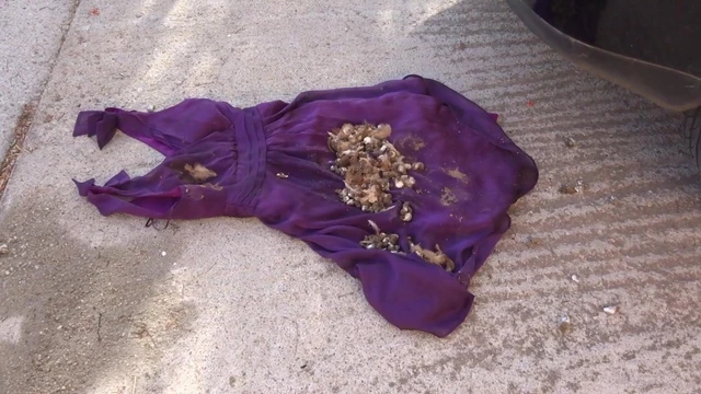 crushing on purple dress 4 under car tyres